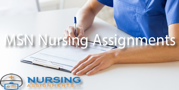 MSN Nursing Assignments